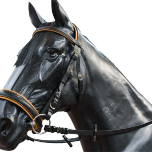 Cabezada Montar.-ZALDI-COMPETICION Sanjorge