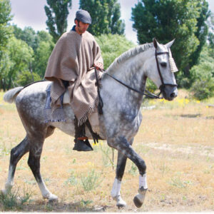 PONCHO ROCIERO DE LANA EXTRA