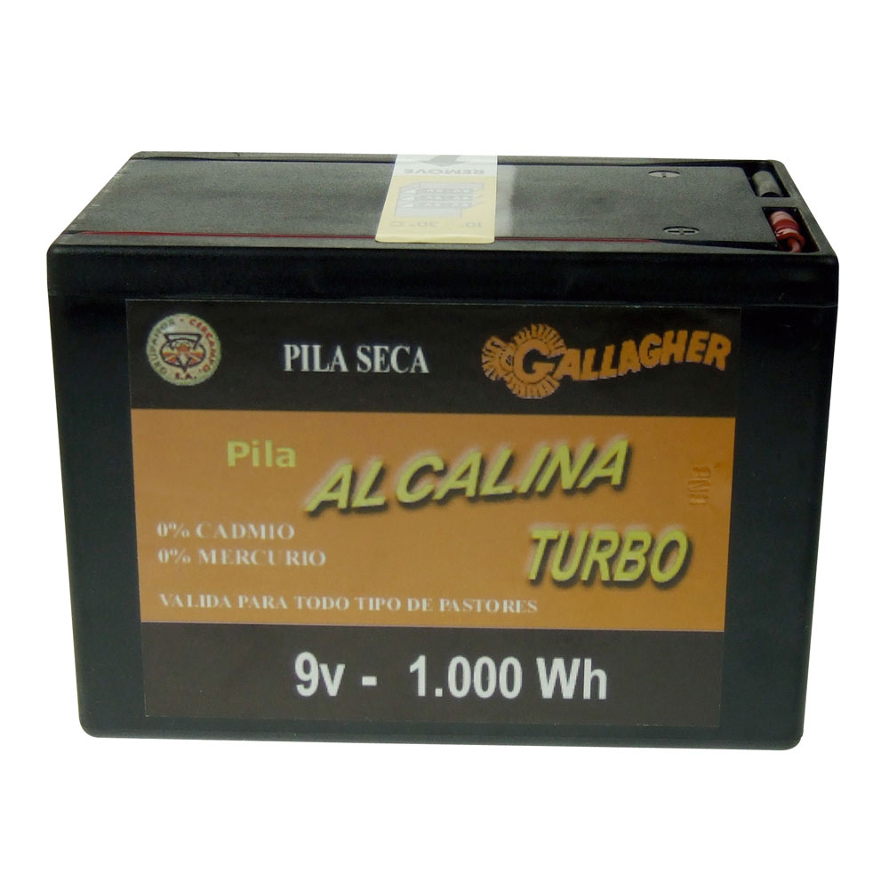 Pila alcalina 9 V 120 Ah 1000 Wh