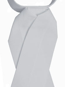 PLASTRON