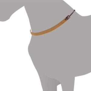 PECHOPETRAL INGLES LEXHIS ELASTICO PARA CUELLO
