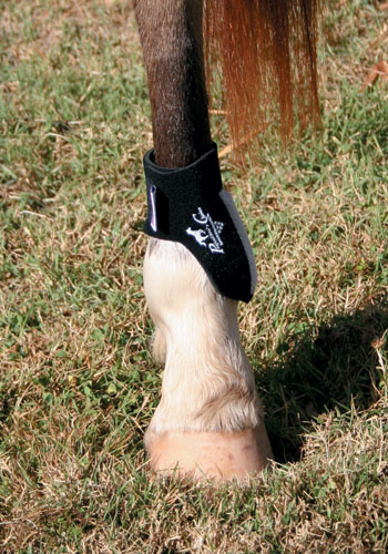 PROTECTOR PROFESSIONAL'S CHOICE MENUDILLO (PAR) - Imagen 2
