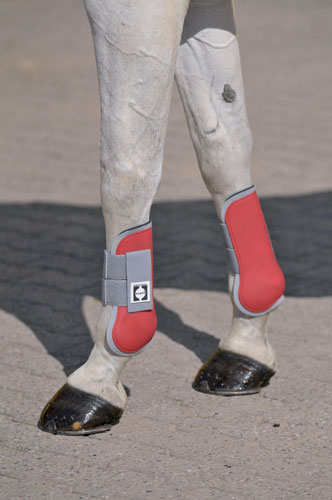 PROTECTOR WALDHAUSEN ECO TENDON DELANTERO (PAR)