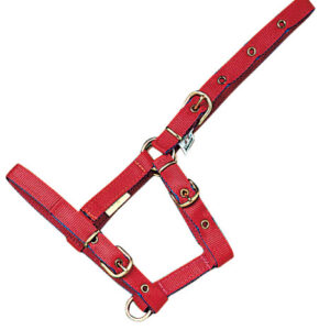 CABEZADA CUADRA MEHIS NYLON FOAL