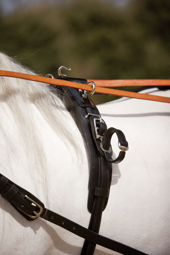 ENGANCHE SUHIS KEIFFER COLLARIN DOBLE - Imagen 2