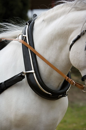 COLLARIN ENGANCHE SUHIS