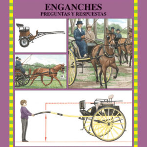 LIBRO GUÍAS ECUESTRES ILUSTRADAS ENGANCHES PREGUNTAS Y RESPUESTAS