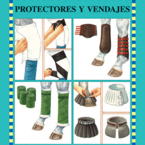 LIBRO GUÍAS ECUESTRES ILUSTRADAS PROTECTORES Y VENDAJES