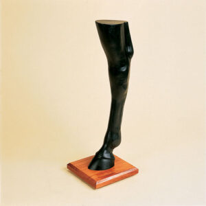 PATA CABALLO POSTERIOR STUBBS S118