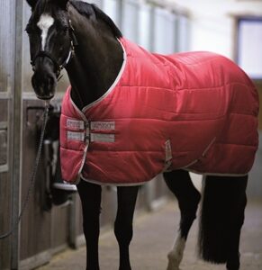 MANTA AMIGO INSULATOR PONY MEDIUM CUADRA