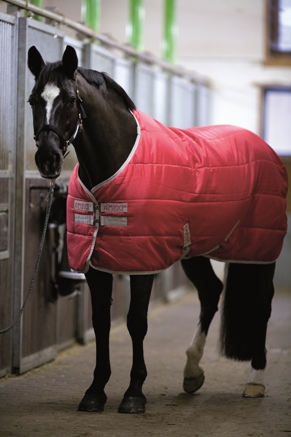MANTA AMIGO INSULATOR PONY MEDIUM CUADRA