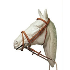 CABEZADA LEXHIS TIPO PESSOA