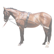 SISTEMA ENTRENAMIENTO PESSOA 