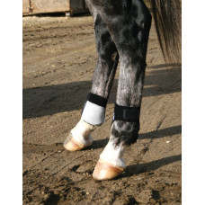 PROTECTOR PROFESSIONAL'S CHOICE MENUDILLO (PAR)