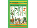 LIBRO GUÍAS ECUESTRES ILUSTRADAS HIERBAS PARA CABALLOS