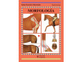 LIBRO GUÍAS ECUESTRES ILUSTRADAS MORFOLOGÍA