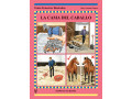 LIBRO GUÍAS ECUESTRES ILUSTRADAS LA CAMA DEL CABALLO