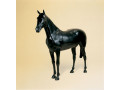 CABALLO PLASTICO TAMAÑO NATURAL NEGRO