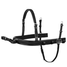 PECHOPETRAL ENGANCHE LEXHIS BERLIN	