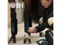 PROTECTOR HORSEWARE ICE-VIBE (SET COMPLETO) TENDON