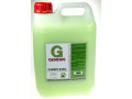 CHAMPU GENESIS BASIC 5L CHAMPU GENESIS BASIC 5L