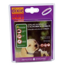 COLLAR CACHORRO PERRO