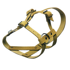 CABEZADA CARNERO CUERO